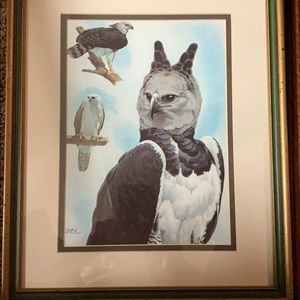 Black and white owl print